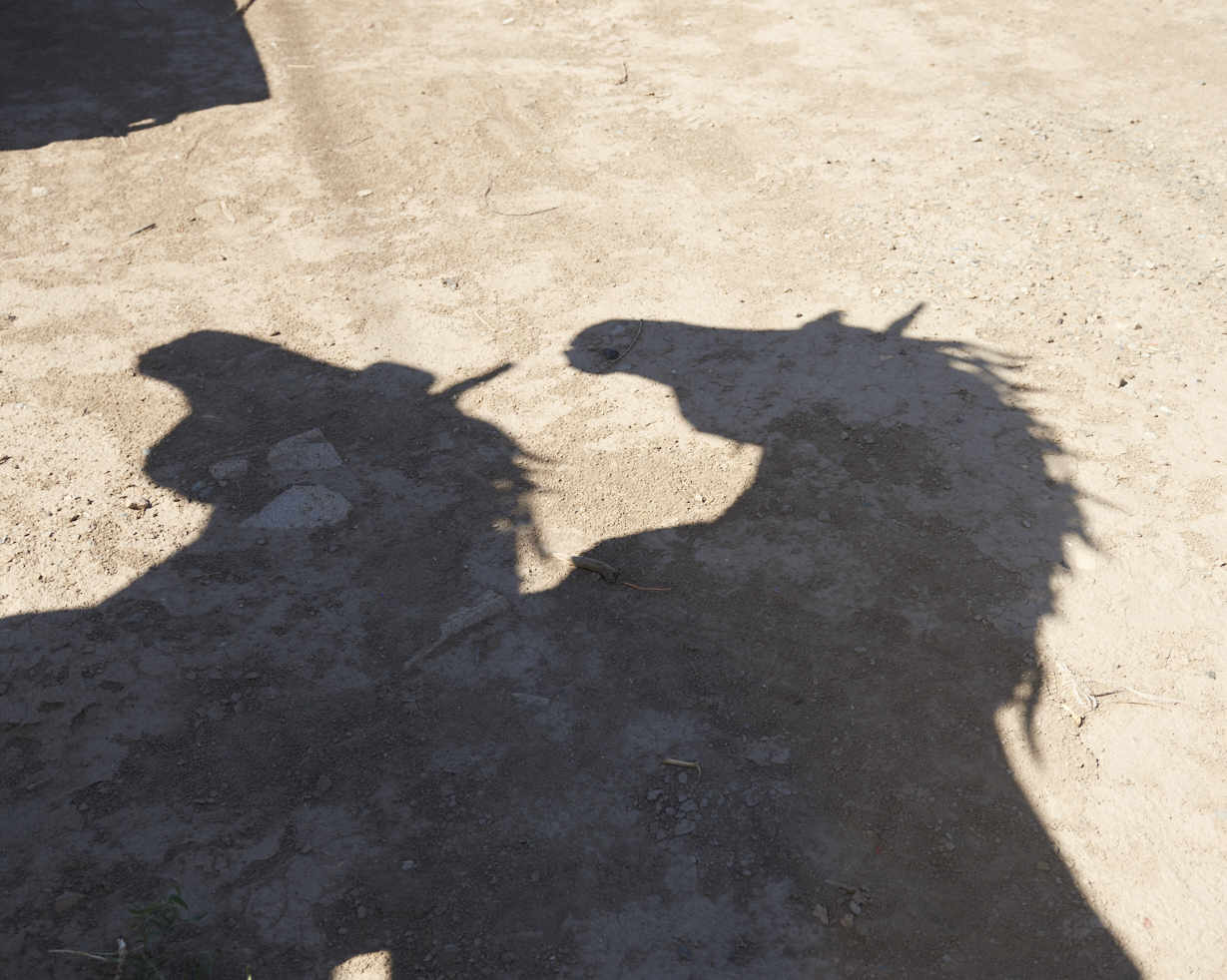 Cowboy Funeral Cowboy Funeral